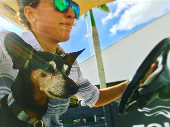 Renee Satterthwaite drives with her dog