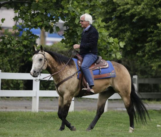Jill Baft's husband Bob Baft on a horse