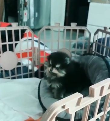 Military official intro clip from Yeontan