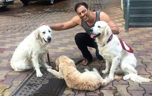 Vindu Dara Singh loves dogs