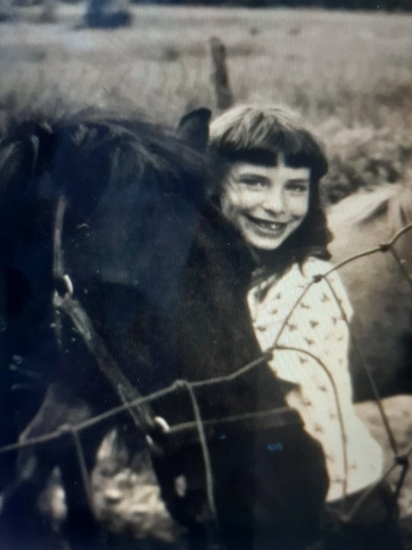 Tara Reid playing with horses