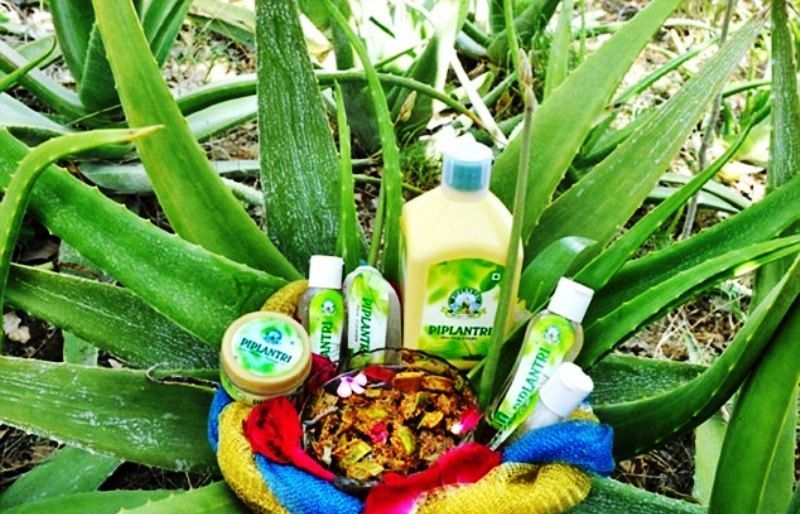 Products produced by Piplantri villagers