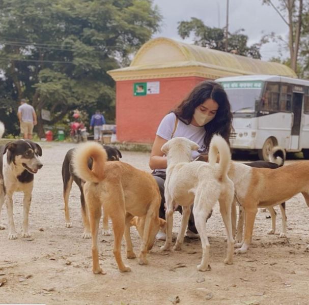 Shristi feeding stray dogs