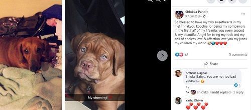 Shlokka Pandit Facebook post about her dog
