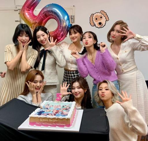 Chaeyoung and her TWICE members