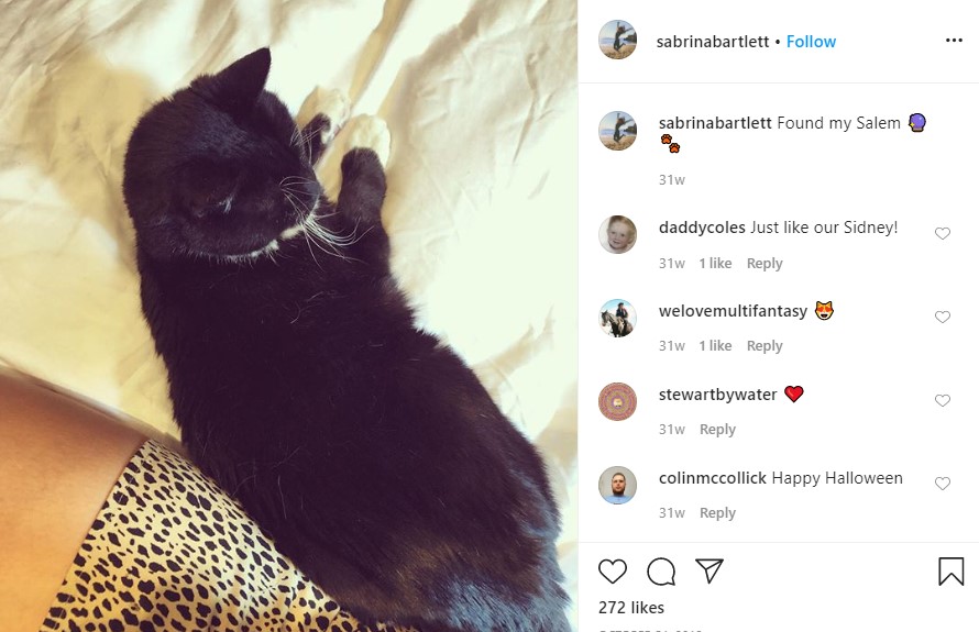 Sabrina Bartlett talks about her cat on her Instagram account