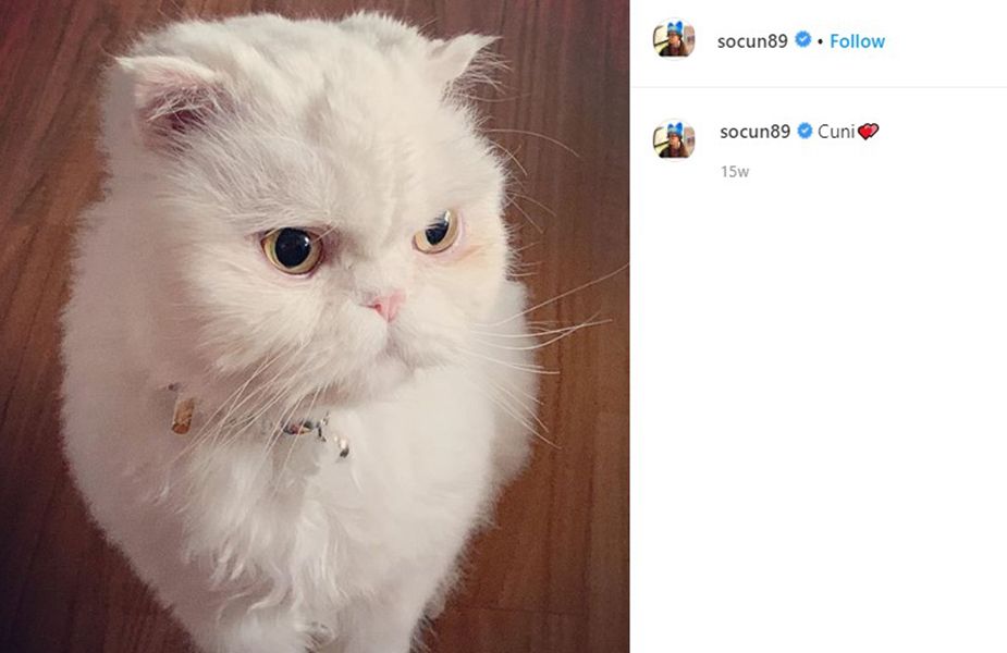 Kim So-eun's Instagram post about her pet