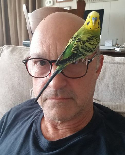 Ed Amatrudeau and his bird Kevin