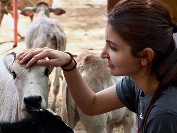 Anushka Sharma caring for animals