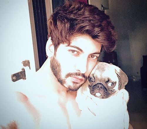 Abhimanyu Chaudhary loves dogs